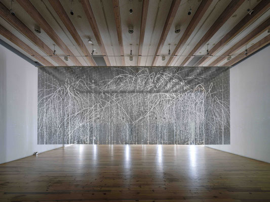 《JAPANESE TREE Ⅴ》2024／ATLIA Kawaguchi Art Gallery／Aluminum leaf, Resin glue, Polycarbonate／399×960cm／Photo：Miki Shimamura