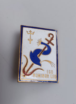 insigne marine le lion contre torpilleur .dos lis doré pastille AB .TBE prix 20 euros