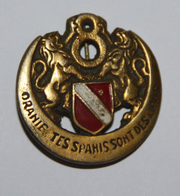 insigne 8° spahis  algérien fabrication local ( moulage ) .prix : 45 euros 