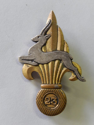  insigne 23° Cie porté de la légion étrangère. DP dos guilloché + boléro  Prix : 50 euros 