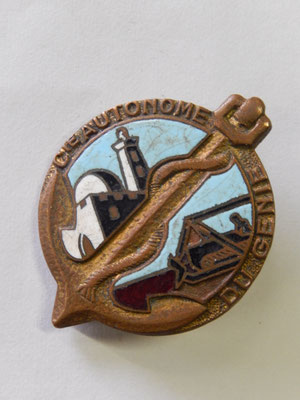 insigne Cie autonome du génie  . DP25R.bér    prix : 150 euros 