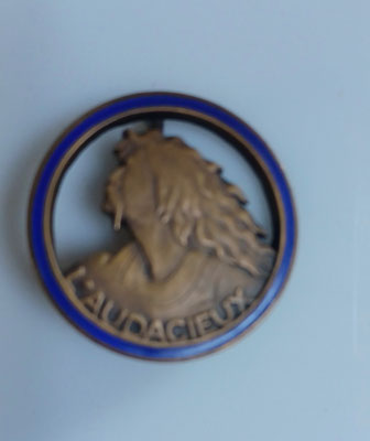 insigne marine L'audacieux contre torpilleur .abpd .TBE 25 euros