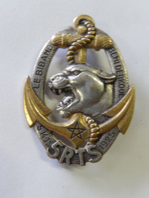 insigne 5° RTS . DPN 43 ROm dep  prix : 10 euros