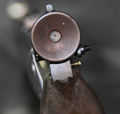 carabine suisse sytéme martini detail diopre 
