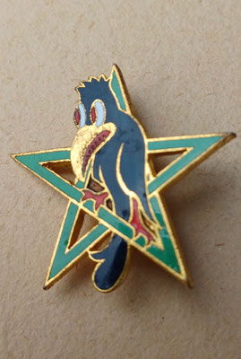 insigne 6 e escadron du groupe ecole 314 drago pais A 807 .prix 15 euros 