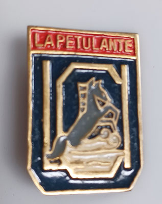 insigne marine la petulante LCI 109 . fabrication artisanal indochine laiton coulé peint .TBE prix 280 euros