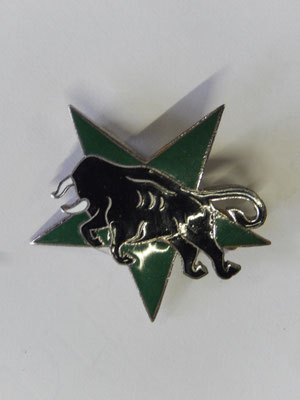  insigne 62° RCC Bourgeon Paris  Prix : 100 euros 