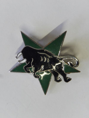  insigne 62° RCC .Bourgeon Paris  Prix : 100 euros 