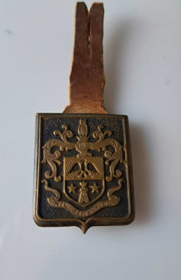 insigne maquis Carnot Gironde.dos lis. prix : 70 euros vendu
