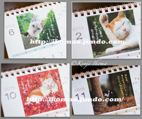 ACTIVE CORPORATION　2013  日なたぼっこ猫だより　壁掛け＆卓上カレンダー
