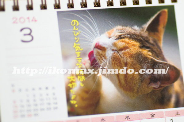 ACTIVE CORPORATION　2014  日なたぼっこ猫だより　壁掛け＆卓上カレンダー　３月