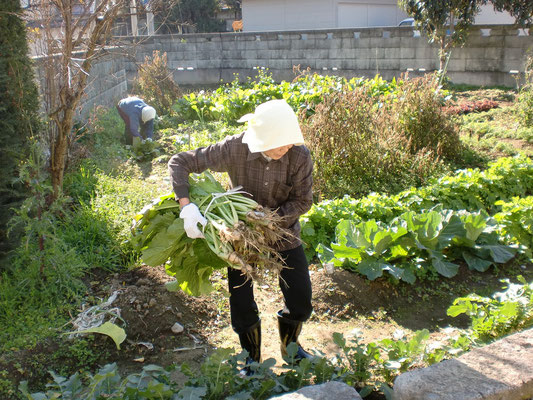 おかげさまで、今年も美味しい野菜をいただけました。