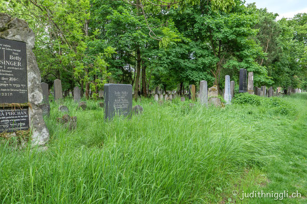 alter jüdischer Friedhof auf dem Zentralfriedhof