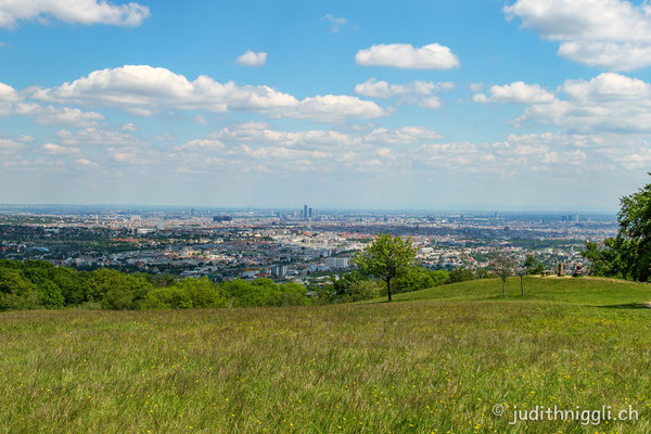 Wiener Blick / Lainzer Tierpark