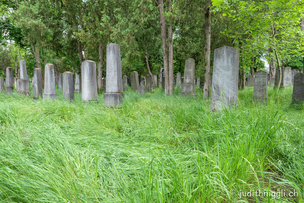 alter jüdischer Friedhof auf dem Zentralfriedhof