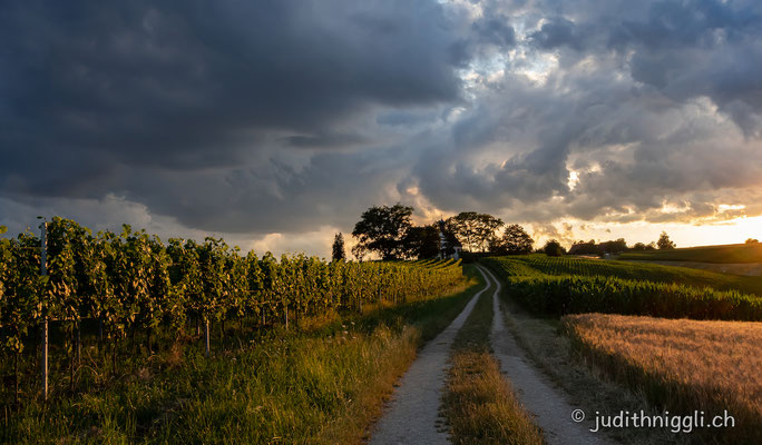 Blick zur Kapelle Erzingen