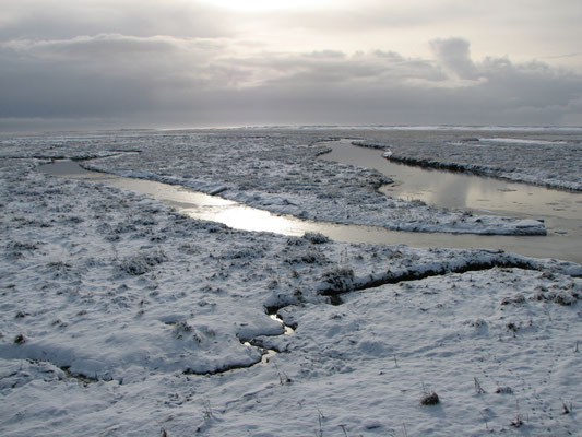 Winter - St. Peter-Ording