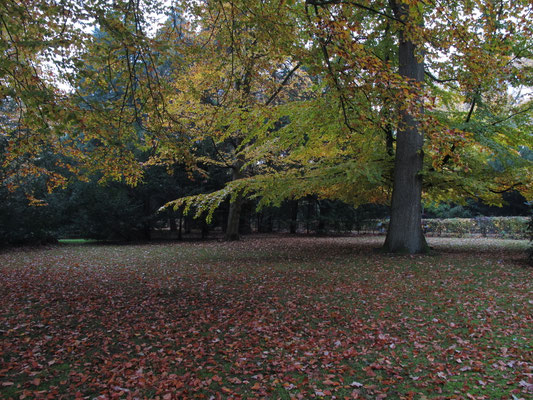 Friedenshügel - Flensburg