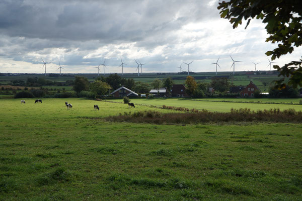 Blick auf Bordelum