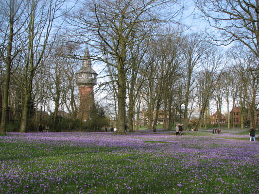 Schloßpark - Husum