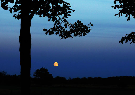 Mondlicht