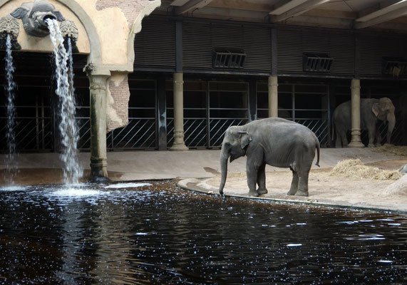 Elefantenhaus - Hagenbecks Tierpark Hamburg