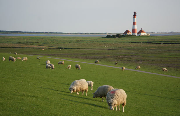 Leuchtturm - Westerhever