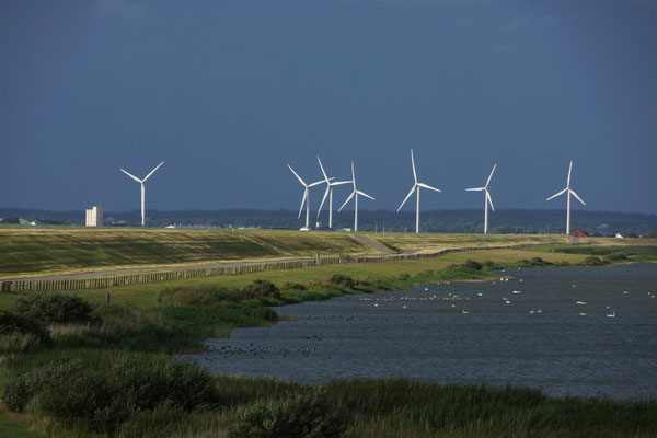 Windpark - Husum