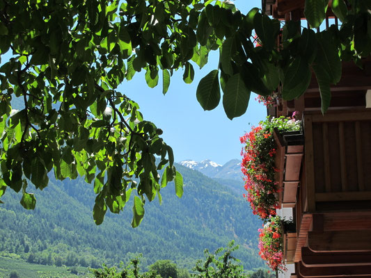 Meran