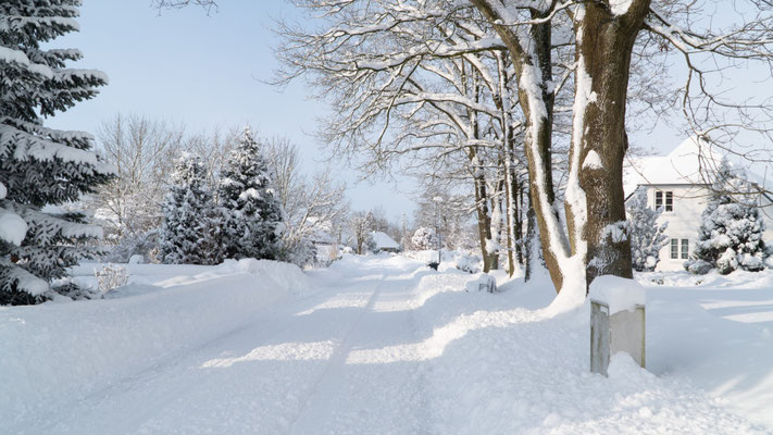 Winter in Nordfriesland