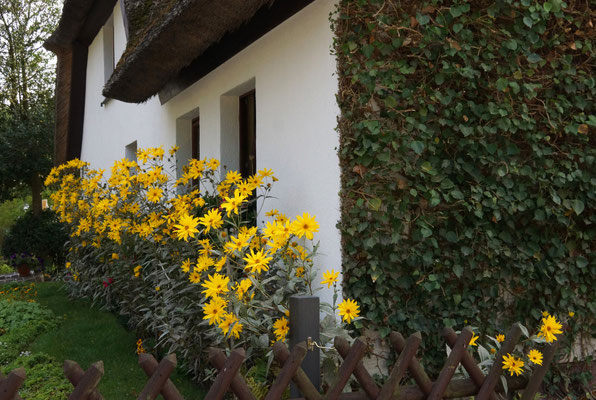 Fischland - Darß