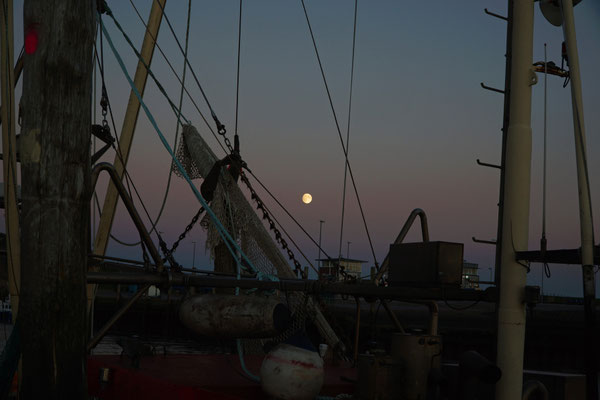 Blaue Stunde Schlüttsiel