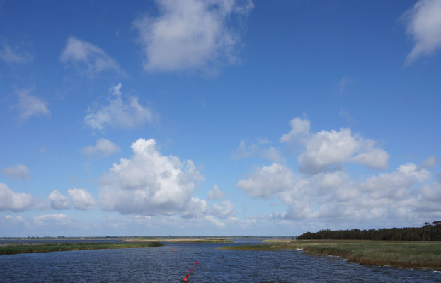 Boddenlandschaft - Ahrenshoop