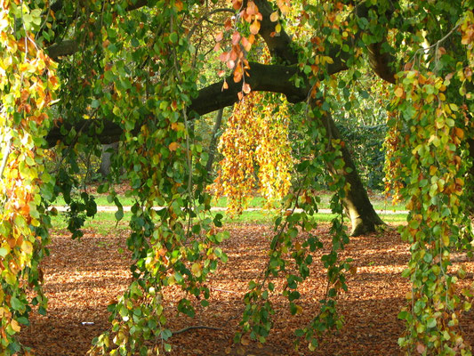 Gerisch-Park - Neumünster