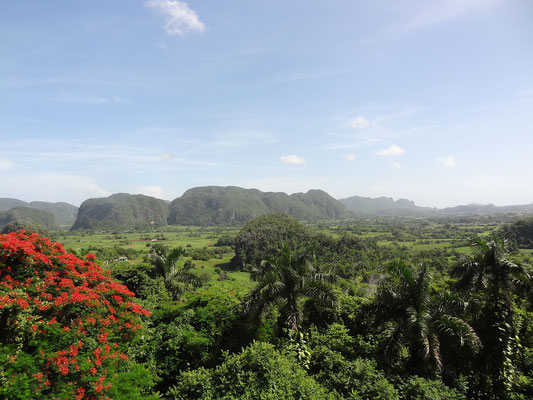 Reiseroute Kuba Mexiko Rundreise und baden - Tagestour Havanna Vinales