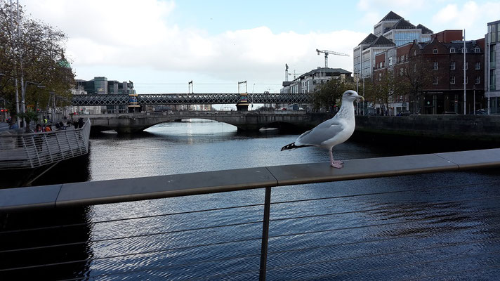 Liffey, Dublin