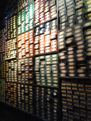 Harry Potter Studio Tour - Olivanders