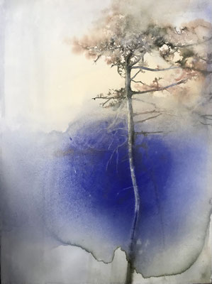 Serie "Pini Neri"2024 "Blu" acquerello puro cm 76 x 58