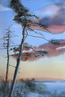 Pini Neri e tramonto novembrino cm 56 x 38