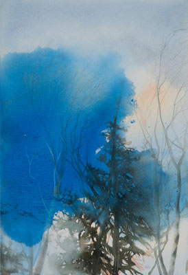 Pini Neri e la nuvola blu cm 56 x 38