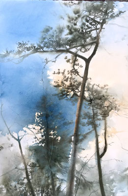 Pini Neri e la nuvola blu cm 56 x 38