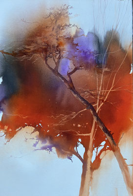 Pini Neri e il fogliage cm 56 x 38