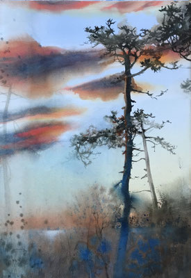 Pini Neri e tramonto novembrino cm 56 x 38