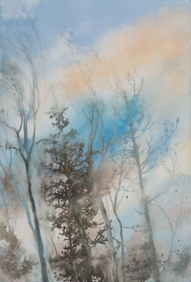 Pini Neri e la nuvola blu cm 56 x 38
