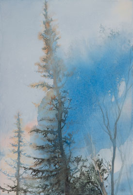 Pini Neri e la nuvola blu cm 56 x 38