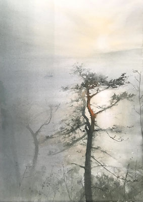 Marina Legovini  Italia "Black Pines" 6 2023 cm 57 x 38