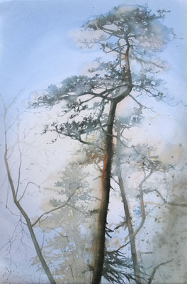 Pini Neri e la nuvola blu cm 56 x 38