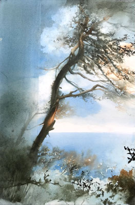 Pini Neri e la nuvola blu cm 56 x 38