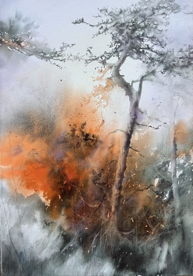 Pini Neri e la trasparenza del mare cm 56 x 38