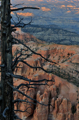 Bryce Canyon, Utah